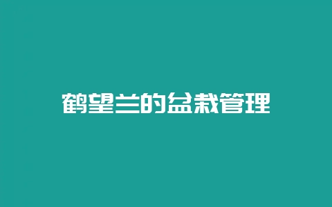 鹤望兰的盆栽管理-会东网