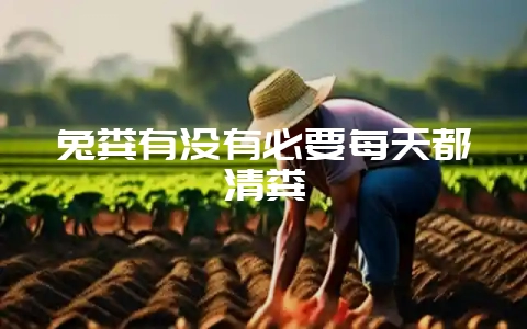 兔粪有没有必要每天都清粪-会东网