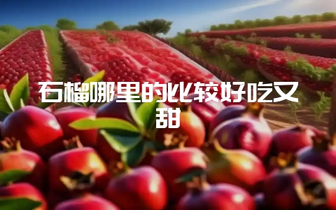 石榴哪里的比较好吃又甜-会东网