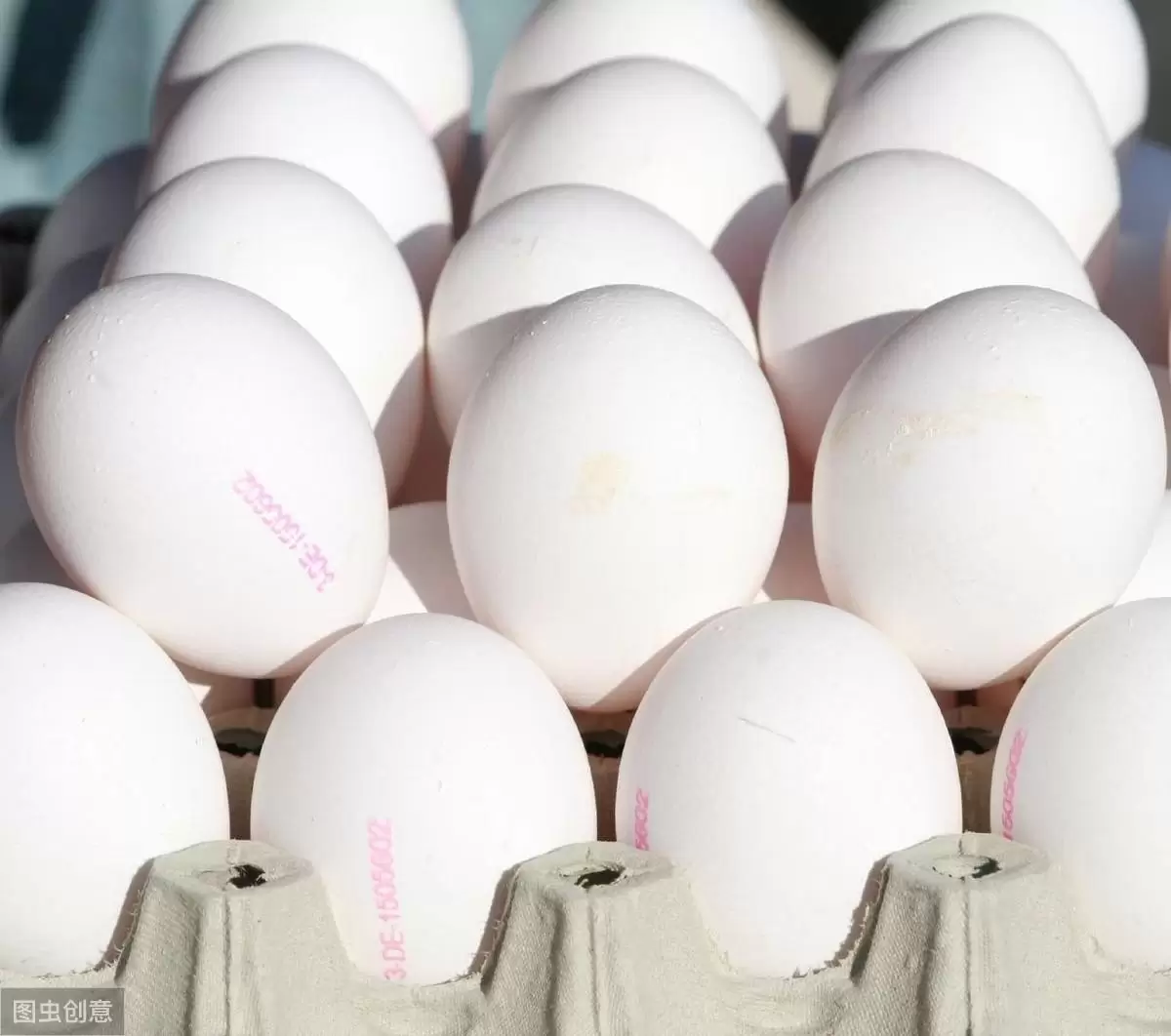 蛋鸡行情这么好，产蛋量不高，沙壳蛋 软壳蛋症状多的，看着里-会东网