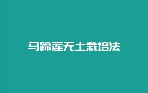 马蹄莲无土栽培法-会东网