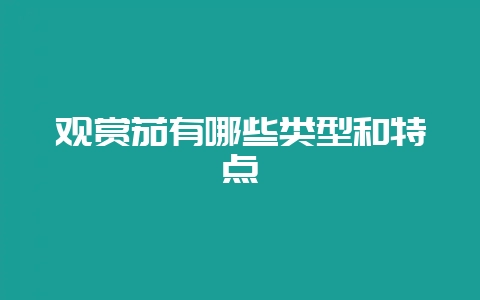 观赏茄有哪些类型和特点-会东网