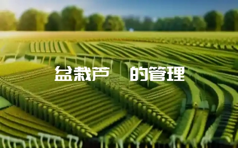 盆栽芦荟的管理-会东网