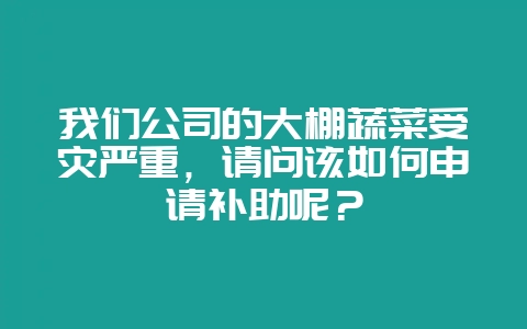 我们公司的大棚蔬菜受灾严重，请问该如何申请补助呢？-会东网