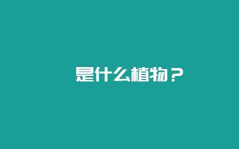 荏是什么植物？-会东网