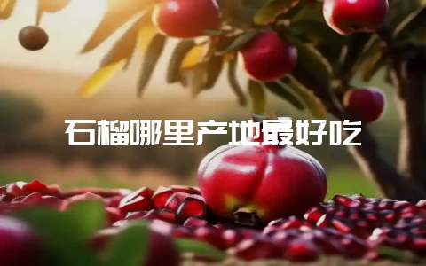 石榴哪里产地最好吃插图 石榴哪里产地最好吃插图