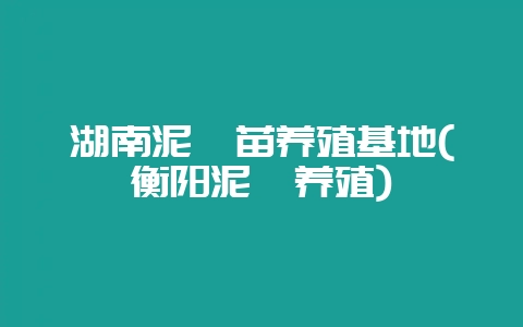 湖南泥鳅苗养殖基地(衡阳泥鳅养殖)-会东网