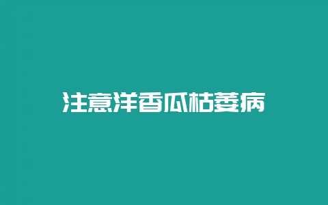 注意洋香瓜枯萎病-会东网