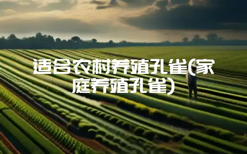 适合农村养殖孔雀(家庭养殖孔雀)插图 适合农村养殖孔雀(家庭养殖孔雀)插图