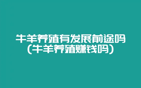 牛羊养殖有发展前途吗(牛羊养殖赚钱吗)-会东网
