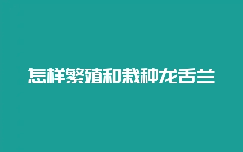 怎样繁殖和栽种龙舌兰-会东网