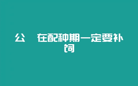 公貉在配种期一定要补饲-会东网