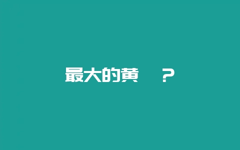 最大的黄鳝？-会东网