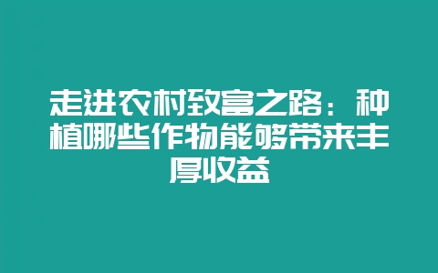 走进农村致富之路：种植哪些作物能够带来丰厚收益-会东网
