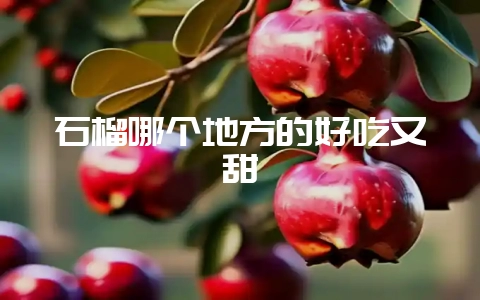 石榴哪个地方的好吃又甜-会东网