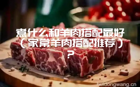煮什么和羊肉搭配最好（家常羊肉搭配推荐）？-会东网
