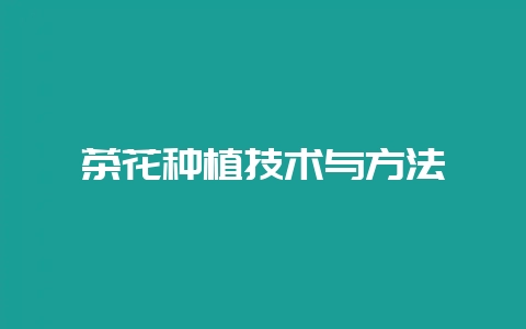 茶花种植技术与方法-会东网