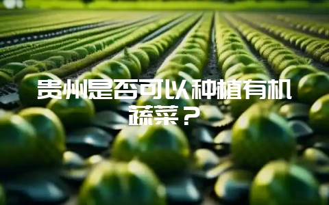 贵州是否可以种植有机蔬菜？-会东网