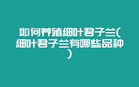 如何养殖细叶君子兰(细叶君子兰有哪些品种)-会东网