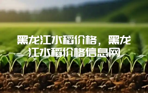 黑龙江水稻价格，黑龙江水稻价格信息网-会东网