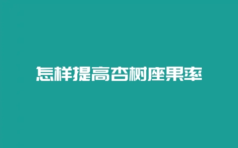 怎样提高杏树座果率-会东网