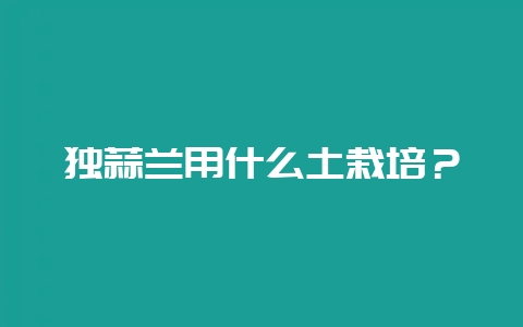 独蒜兰用什么土栽培？-会东网