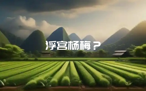 浮宫杨梅？-会东网