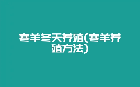 寒羊冬天养殖(寒羊养殖方法)-会东网