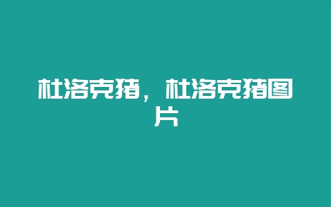 杜洛克猪,杜洛克猪图片-会东网