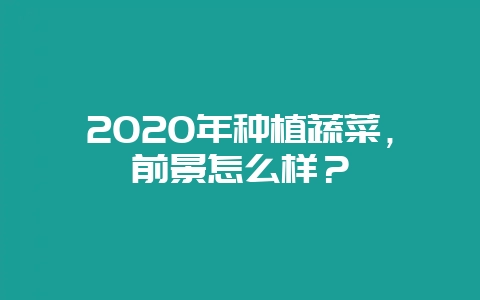 2020年种植蔬菜，前景怎么样？-会东网