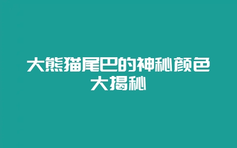 大熊猫尾巴的神秘颜色大揭秘-会东网