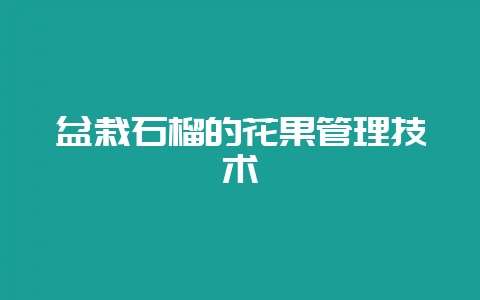 盆栽石榴的花果管理技术-会东网