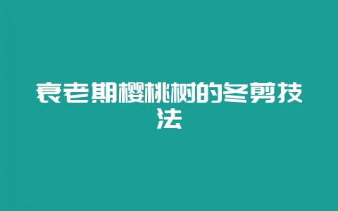 衰老期樱桃树的冬剪技法-会东网