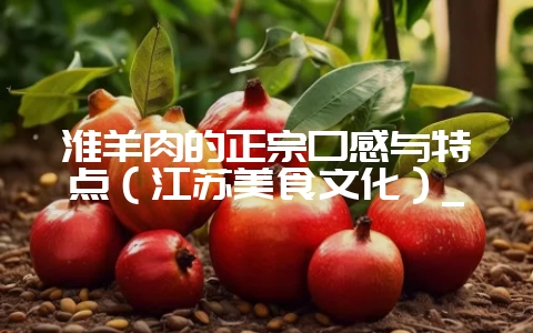 淮羊肉的正宗口感与特点(江苏美食文化)_-会东网