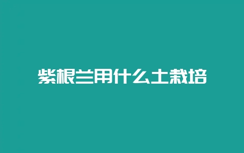 紫根兰用什么土栽培-会东网