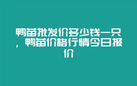 鸭苗批发价多少钱一只，鸭苗价格行情今日报价-会东网