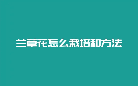 兰草花怎么栽培和方法-会东网