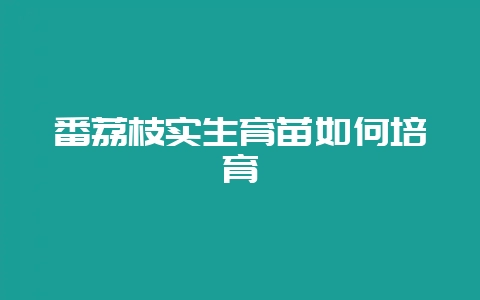 番荔枝实生育苗如何培育-会东网