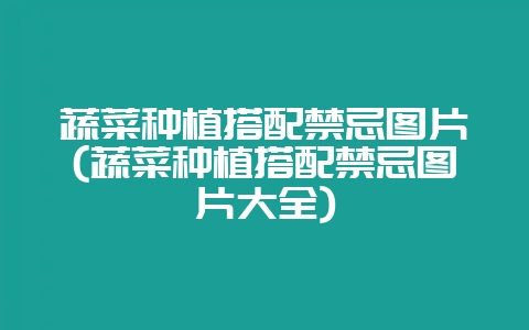 蔬菜种植搭配禁忌图片(蔬菜种植搭配禁忌图片大全)-会东网
