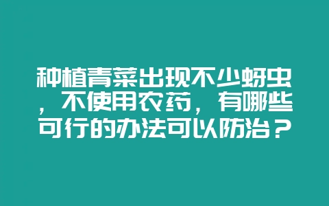 种植青菜出现不少蚜虫，不使用农药，有哪些可行的办法可以防治？-会东网