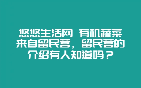 悠悠生活网 有机蔬菜来自留民营,留民营的介绍有人知道吗?插图 悠悠生活网 有机蔬菜来自留民营,留民营的介绍有人知道吗?插图