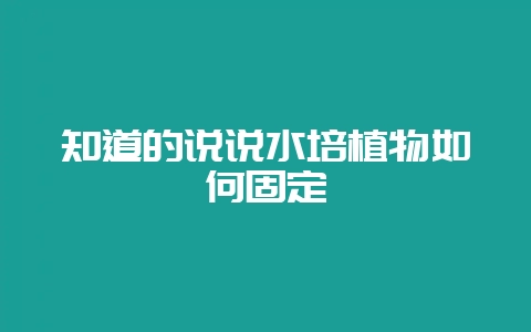 知道的说说水培植物如何固定-会东网