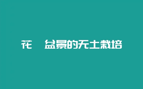花卉盆景的无土栽培-会东网