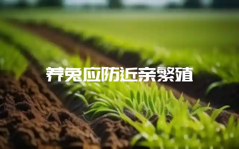 养兔应防近亲繁殖-会东网