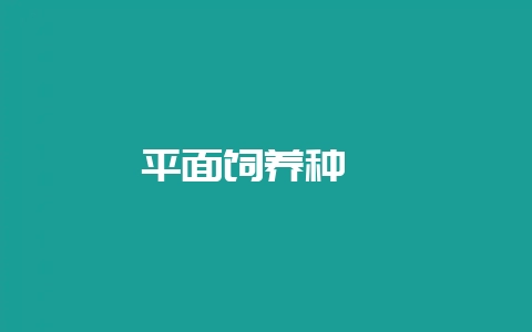 平面饲养种鹧鸪-会东网