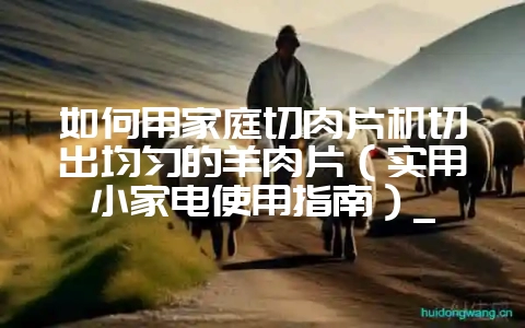 如何用家庭切肉片机切出均匀的羊肉片(实用小家电使用指南)_-会东网