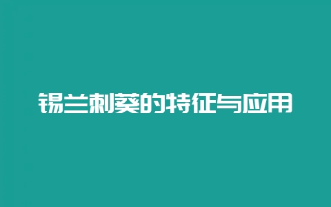 锡兰刺葵的特征与应用-会东网