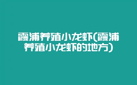 霞浦养殖小龙虾(霞浦养殖小龙虾的地方)-会东网