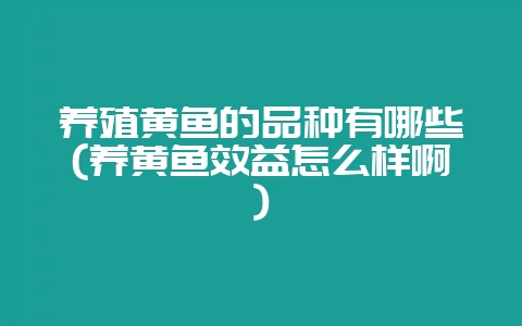 养殖黄鱼的品种有哪些(养黄鱼效益怎么样啊)-会东网