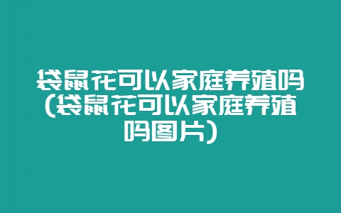 袋鼠花可以家庭养殖吗(袋鼠花可以家庭养殖吗图片)-会东网